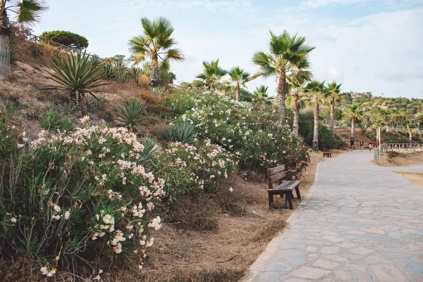Paseo de costa con arriates sin césped: adelfas en flor blancas y rosas, agaves y palmeras sobre tierra seca, junto a un camino de losas.