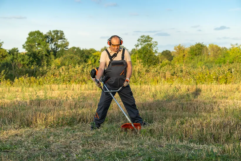 A gardener wearing ear defenders and safety glasses runs a brush cutter over a plot of dry grass that has already been cut, with trees behind.